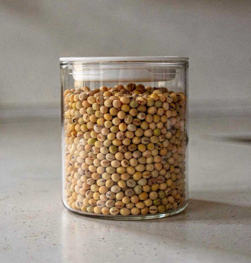 Een voorraadbus vol met droge sojabonen, klaar om te koken.