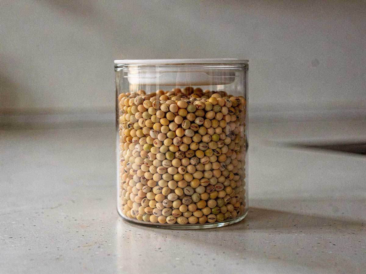 Een voorraadbus vol met droge sojabonen, klaar om te koken.