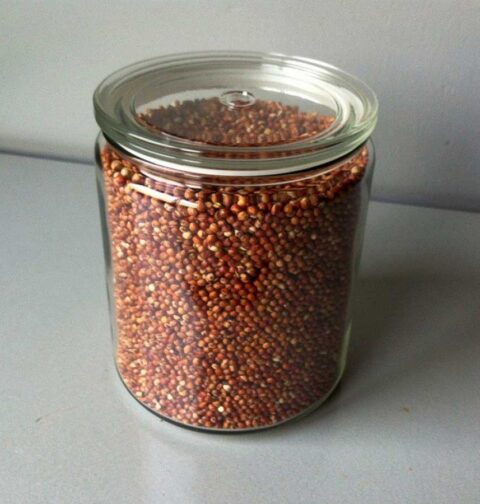 Een grote voorraadbus vol met gedrogode sorghum.