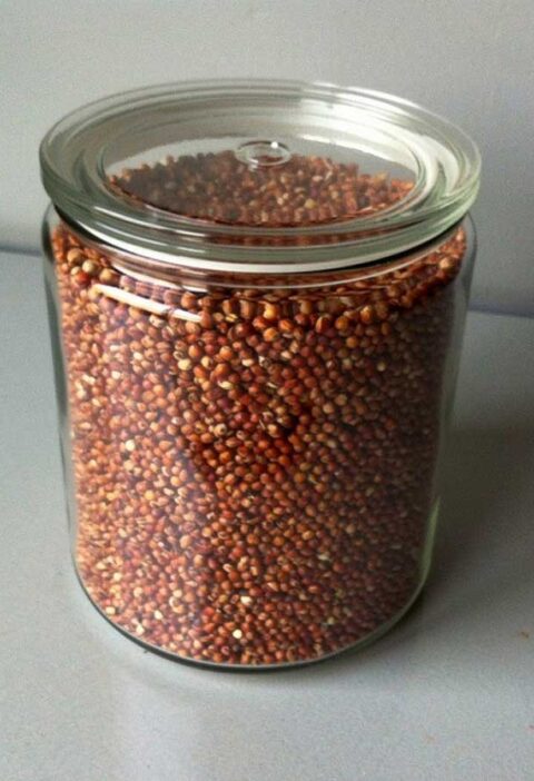 Een grote voorraadbus vol met gedrogode sorghum.
