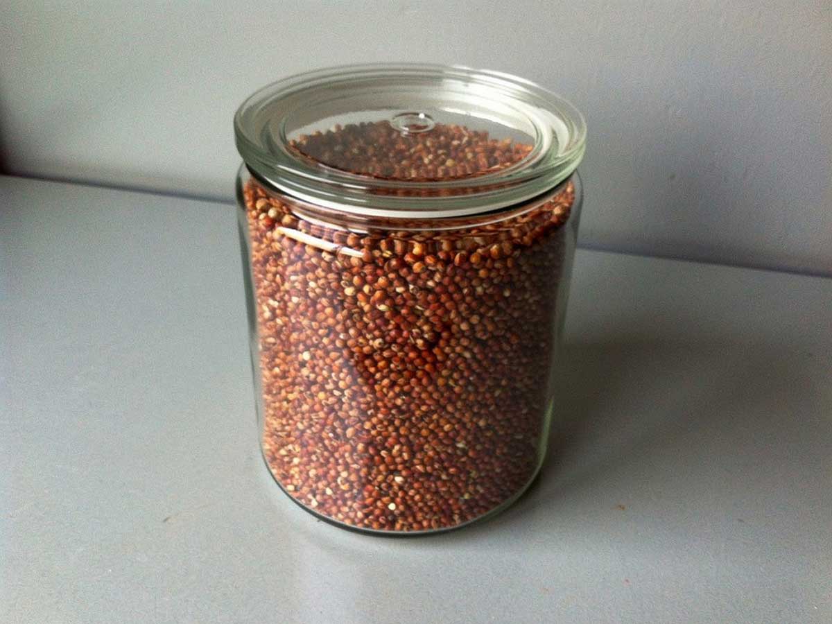 Een grote voorraadbus vol met gedrogode sorghum.