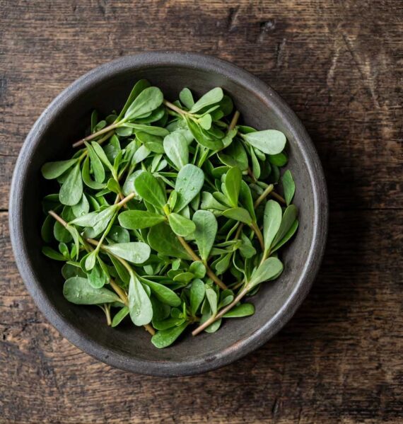Verse groene postelein in een kom op het aanrecht, klaar om te koken