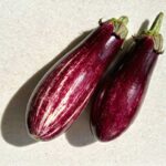 Hoelang zeekraal koken?