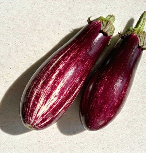 Twee verse paars-witte graffiti aubergines met groene kroontjes naast elkaar op een licht aanrechtblad in het felle zonlicht.