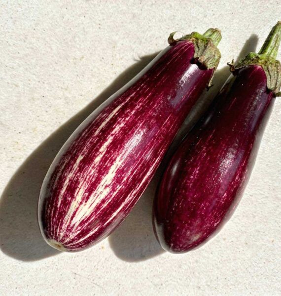 Twee verse paars-witte graffiti aubergines met groene kroontjes naast elkaar op een licht aanrechtblad in het felle zonlicht.