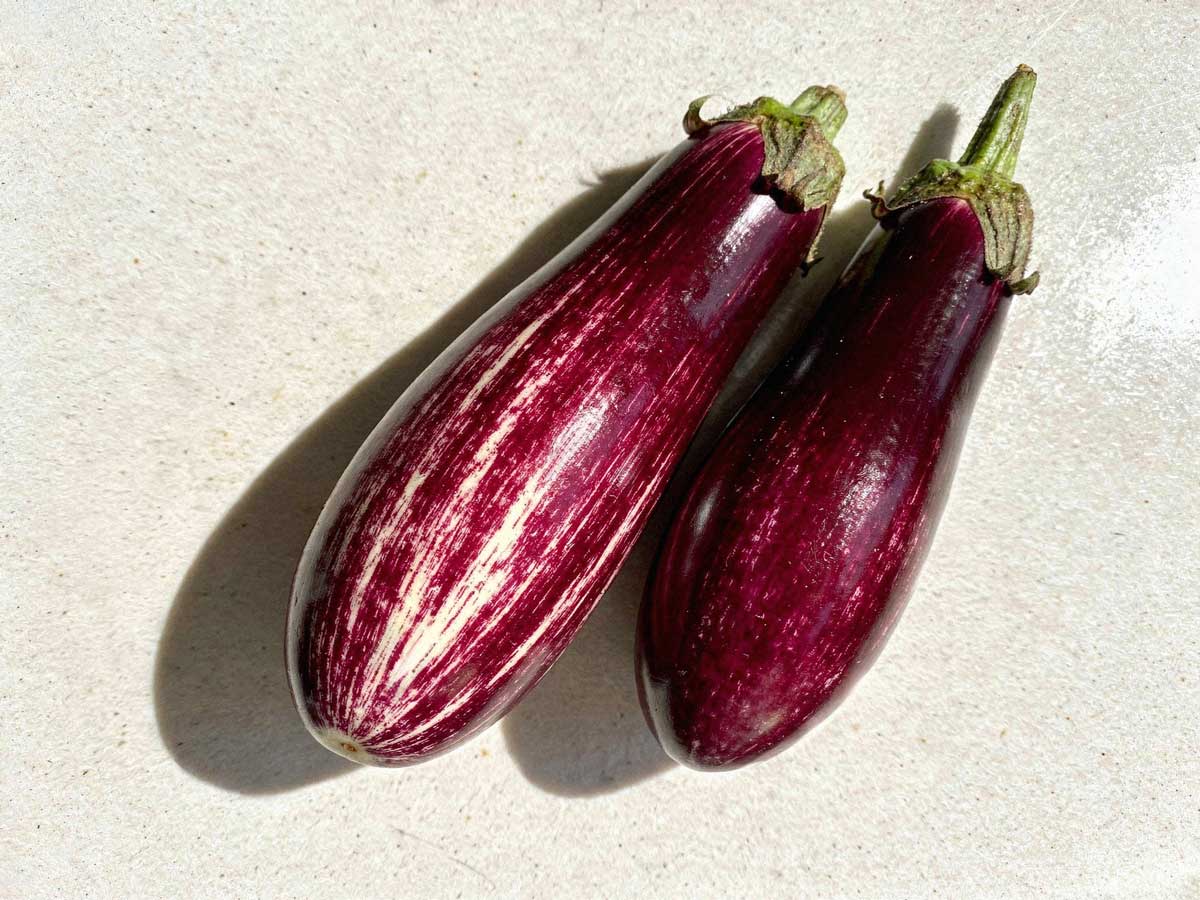Twee verse paars-witte graffiti aubergines met groene kroontjes naast elkaar op een licht aanrechtblad in het felle zonlicht.