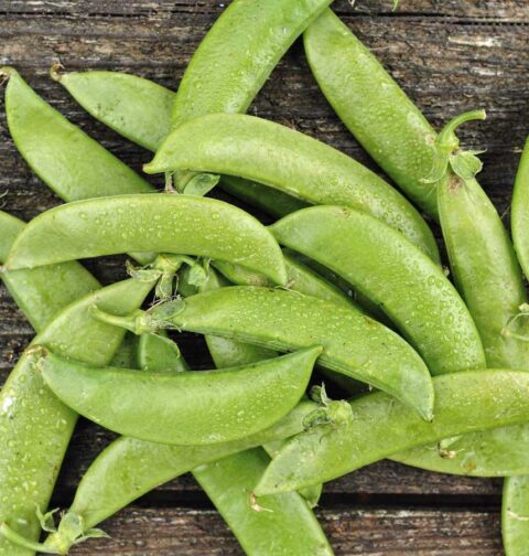 Verse, felgroene sugar snaps verspreid op een rustieke houten tafel met waterdruppels.